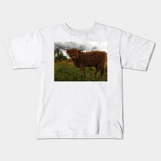 Scottish Highland Cattle Calf 2044 Kids T-Shirt